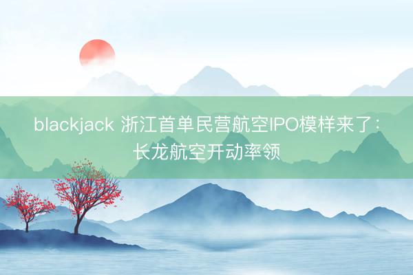 blackjack 浙江首单民营航空IPO模样来了：长龙航空开动率领